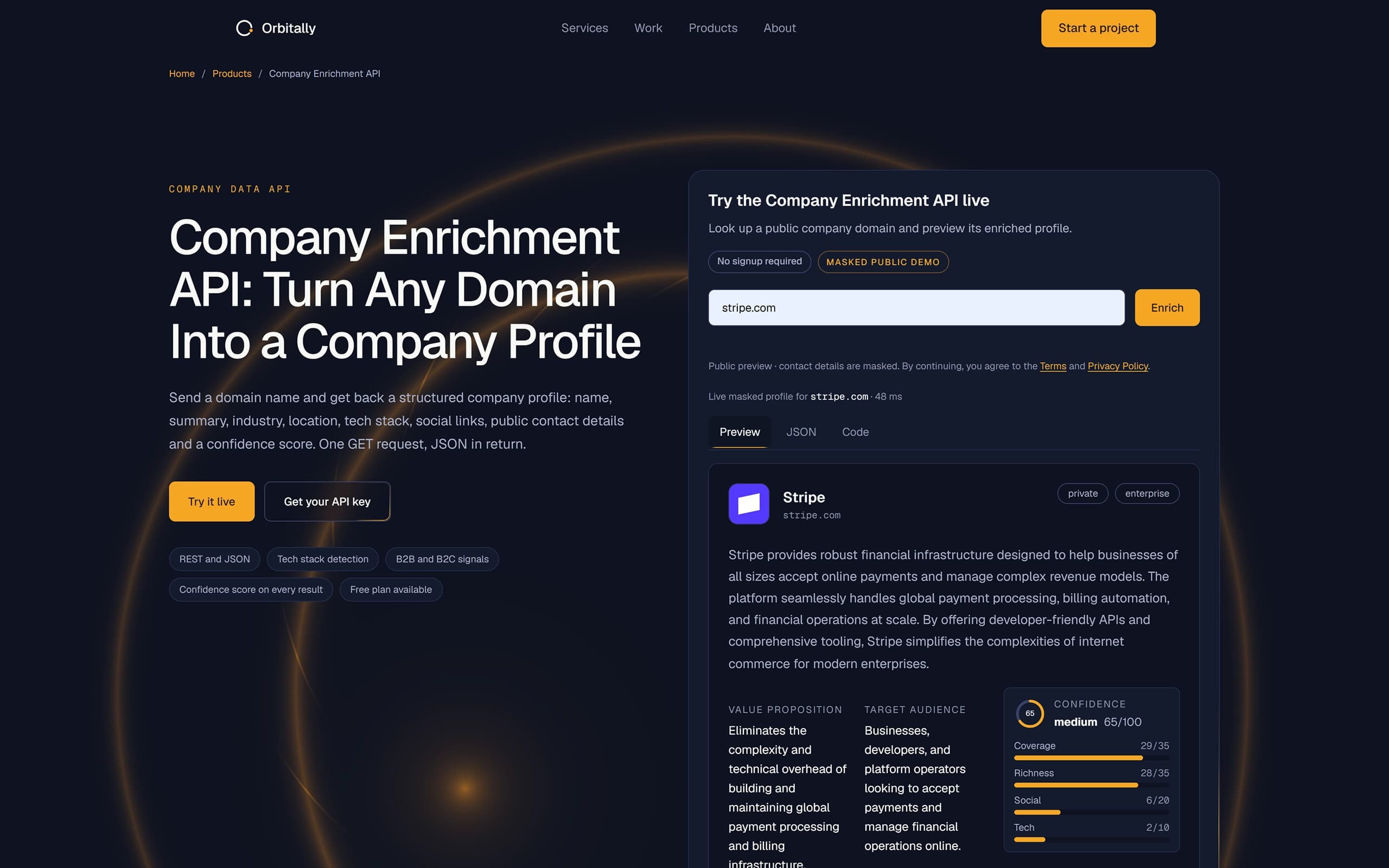Company Enrichment API website preview